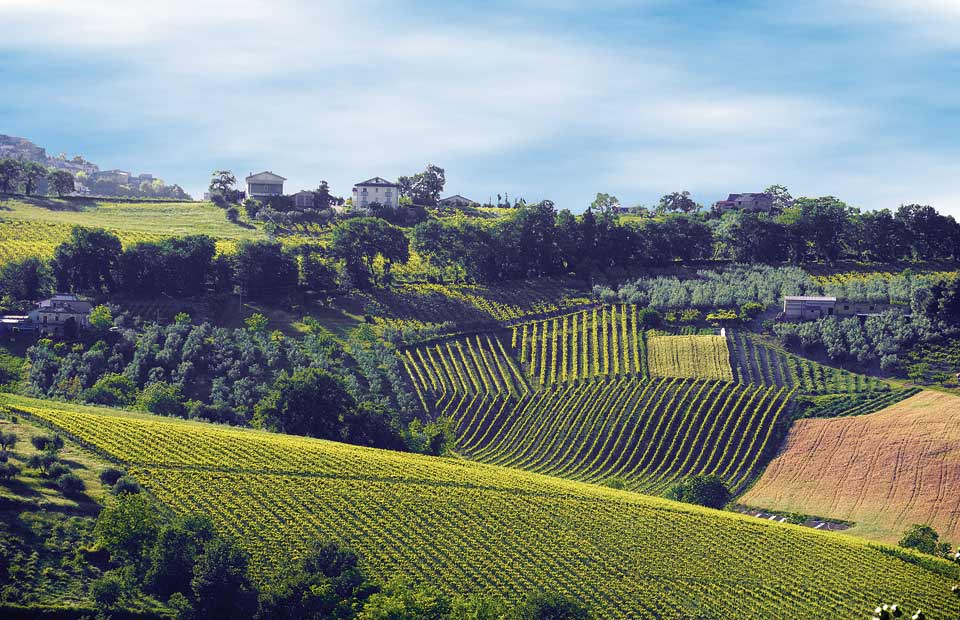 Bucchianico_10-1