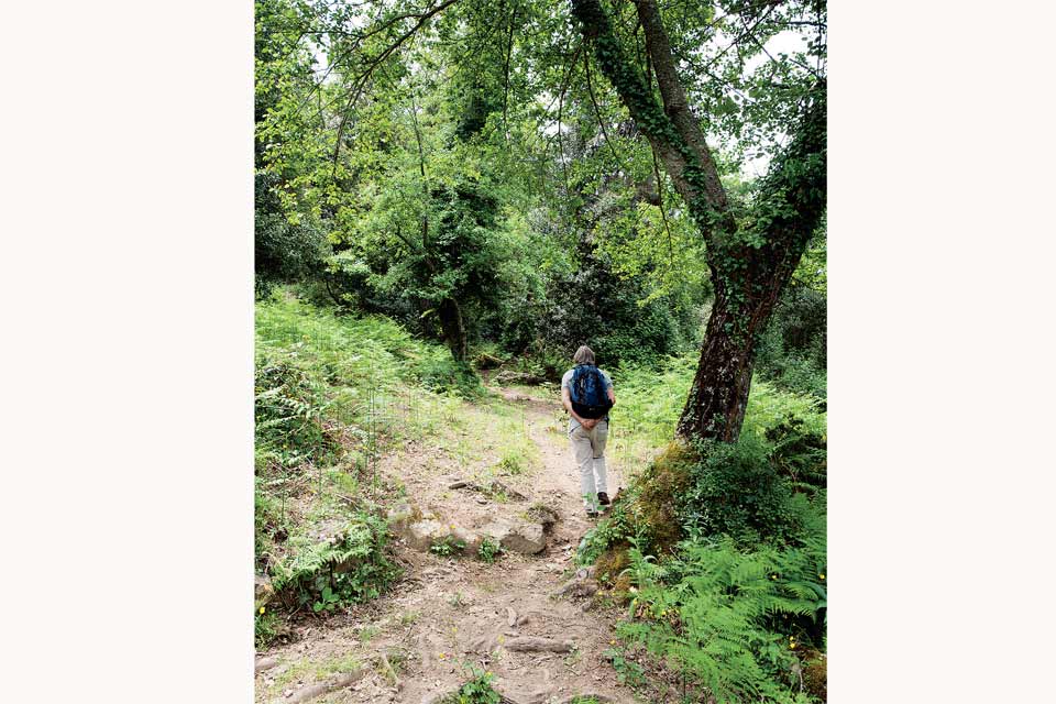 Il sentiero verso San Petrucolo sul Monte San Petrone