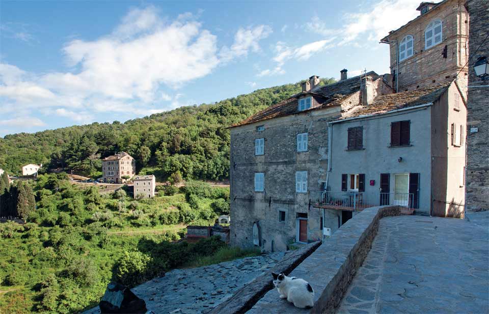 Le case di Vescovato