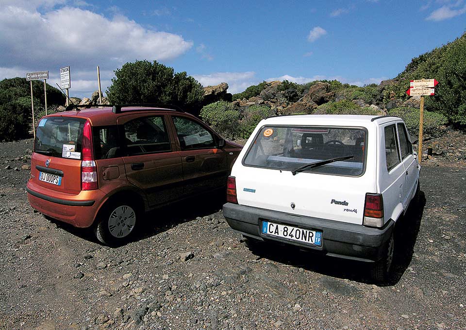 Panda a Pantelleria