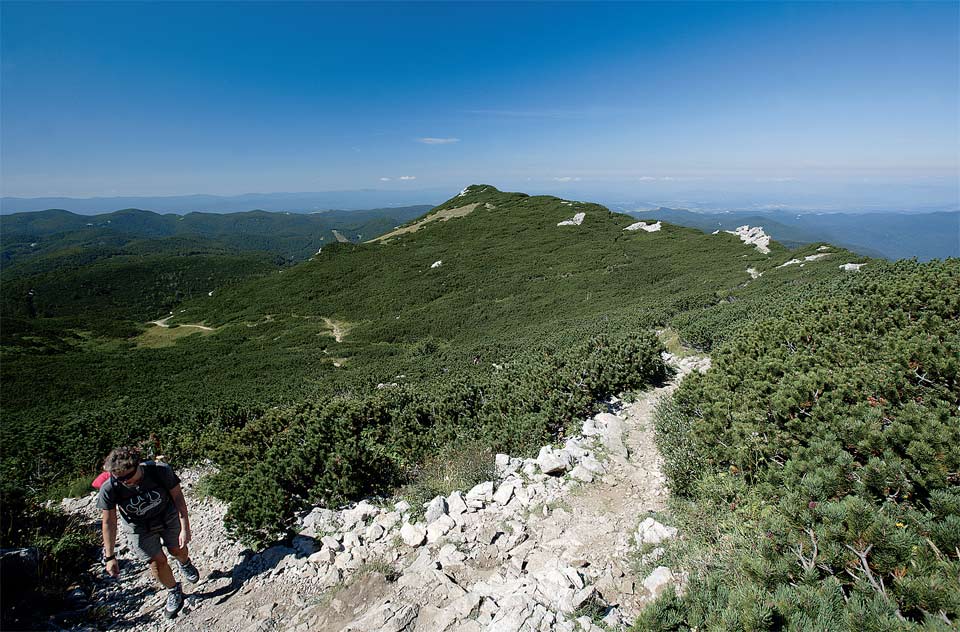 SloveniaCarso8