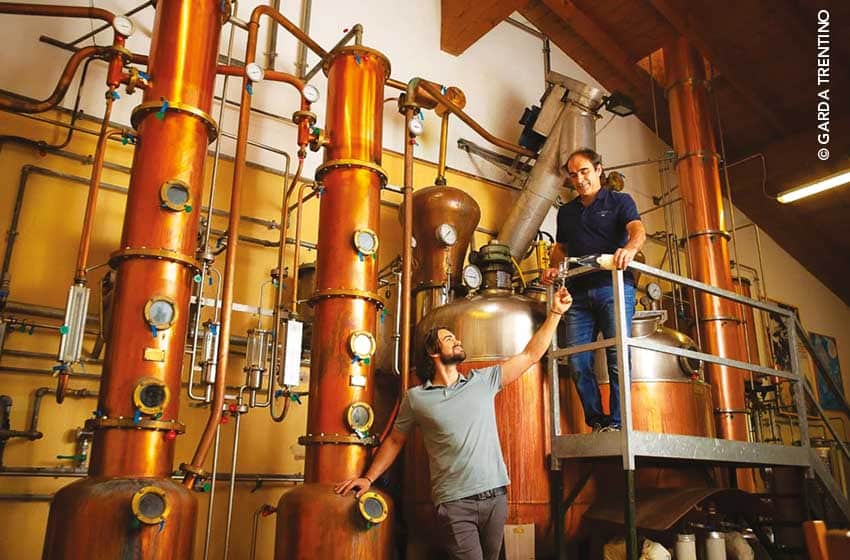 Trentino-Santa Massenza-Distilleria Poli-Ph. Garda Trentino