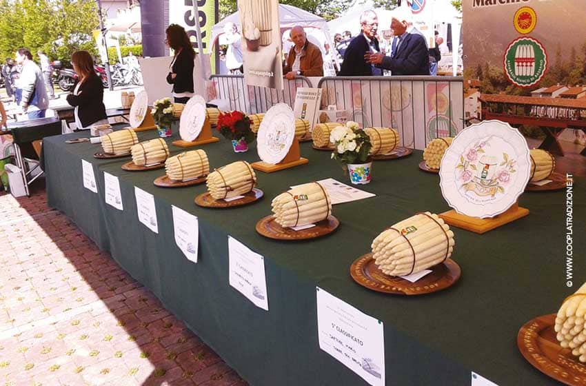 Veneto-Bassano del Grappa-Mostra Asparago Bianco-Ph. www.cooplatradizione.it
