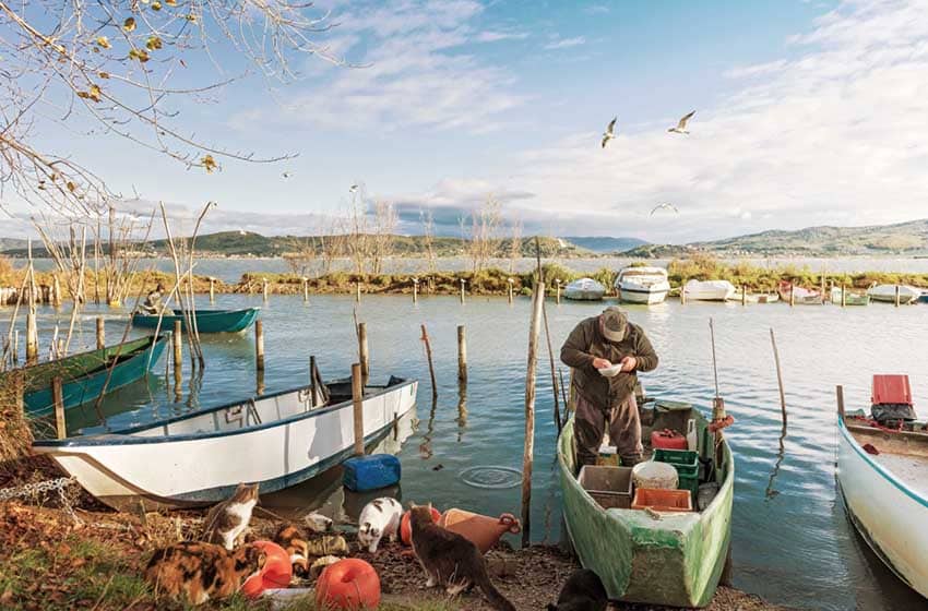 Lago-Trasimeno