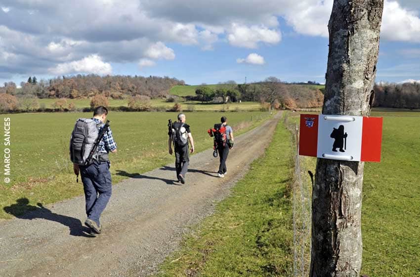 Via Francigena-Cammino fra Bolsena e Montefiascone