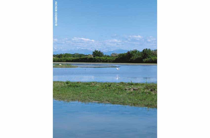 Isola-della-Cona Friuli-Venezia-Giulia