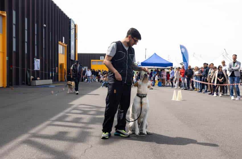 Expo Wild SiciliaFiera