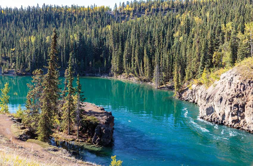 Fiume-Yukon-vicino-a-Whitehorse