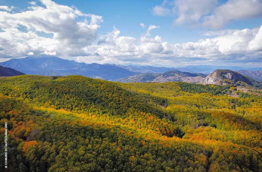 Basilicata-Castelsaraceno-Bosco Favino-Ph. Comune di Castelsaraceno