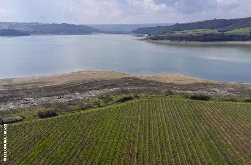 Lago di Corbara