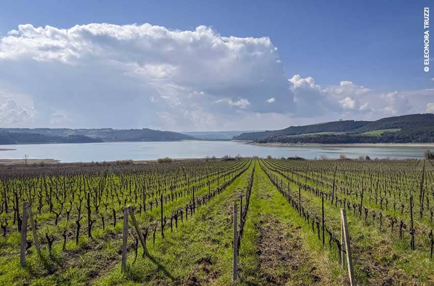 Lago di Corbara