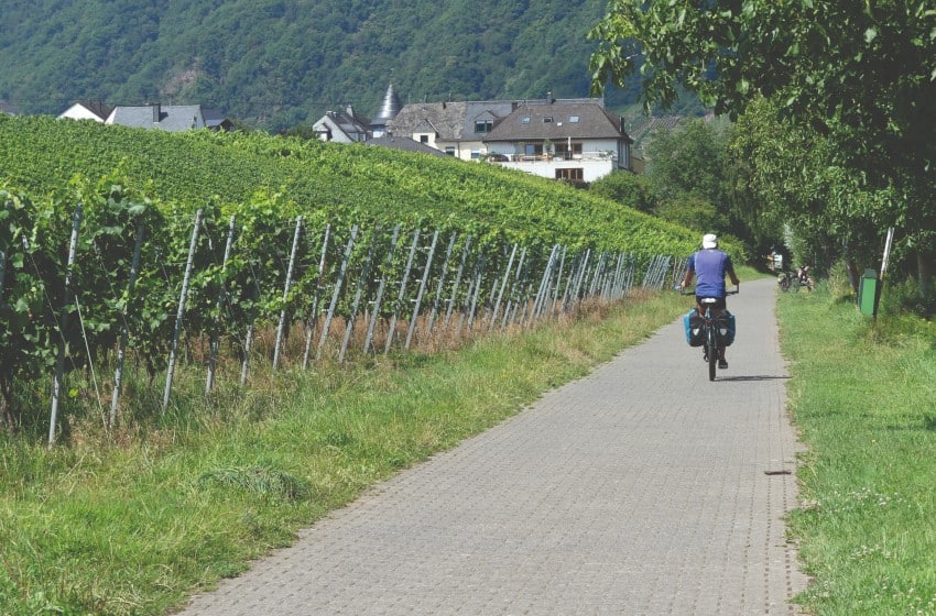 Germania-Valle della Mosella-Ciclovia della Mosella-Fra Bernkastel e Leiwen-credit Arianna Mantovani