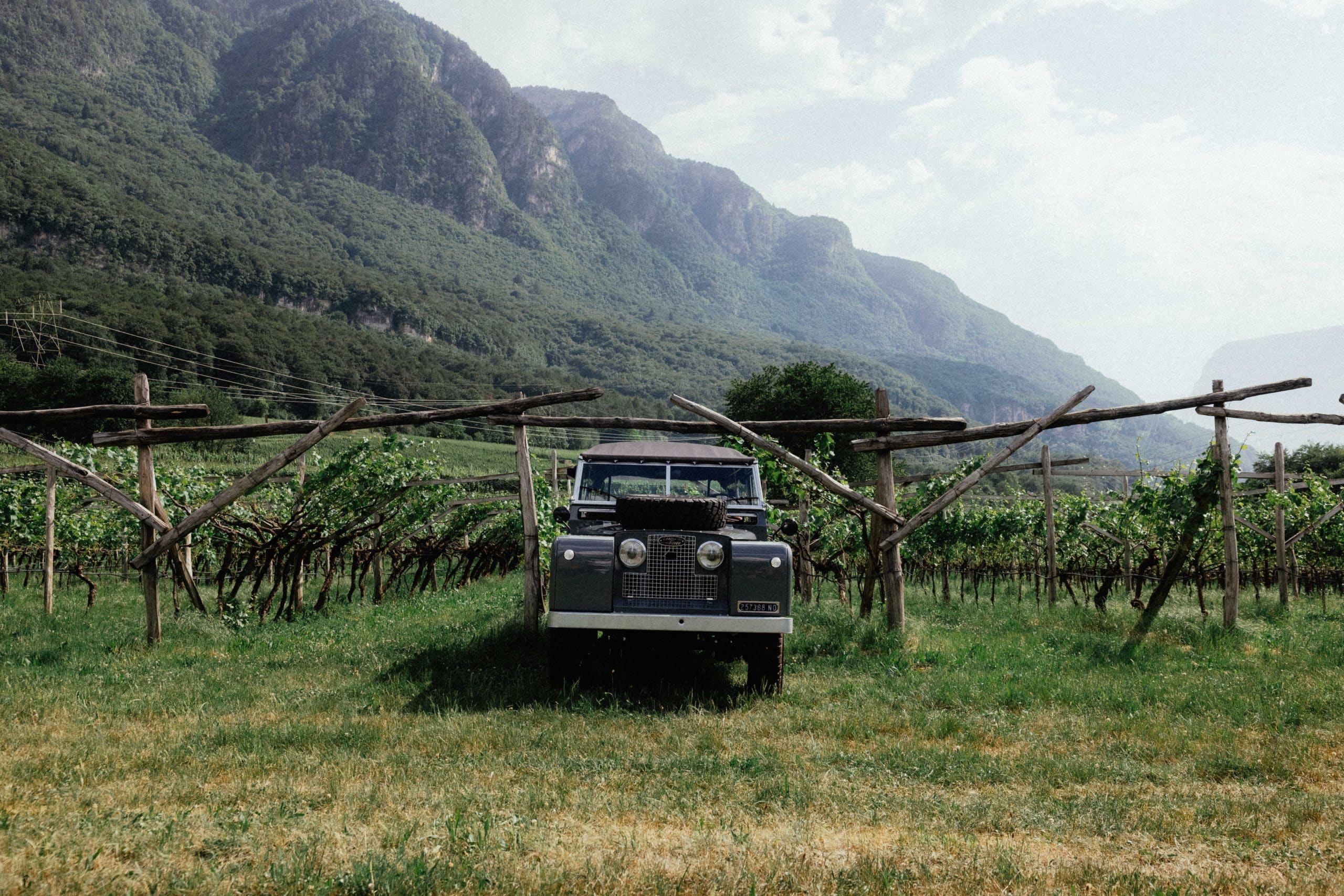 Alto Adige-Tarmeno-tenuta Hofstätter-fuoristrada e vigneto 