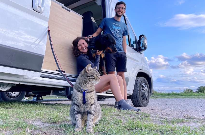 cani in camper
