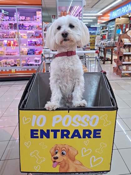 carrello della spesa con cane