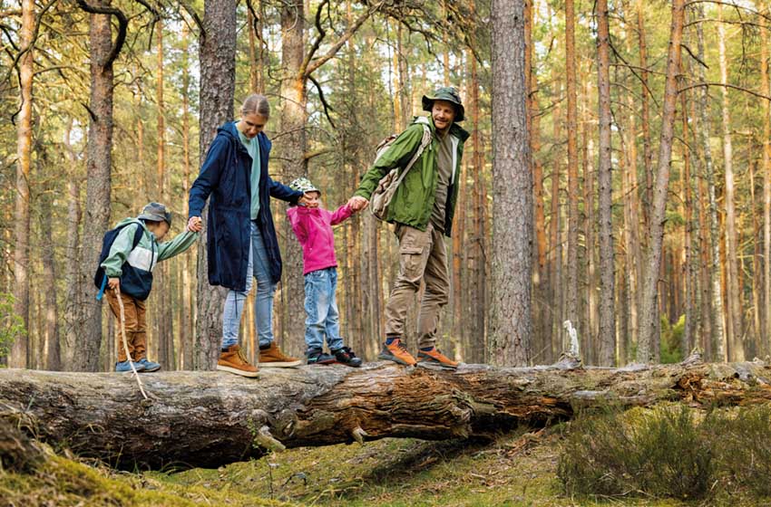 Autunno-bosco-passeggaita in famiglia