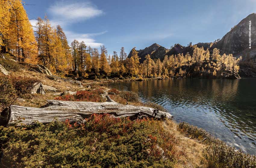 Svizzera-Canton Ticino-Alzasca-Vallemaggia