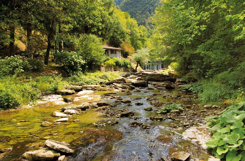 Toscana, Firenzuola: trekking lungo il Rio Rovigo