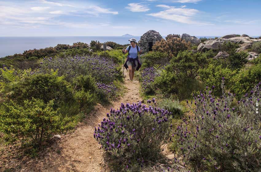Toscana, in cammino lungo un sentiero dell'Isola d'Elba