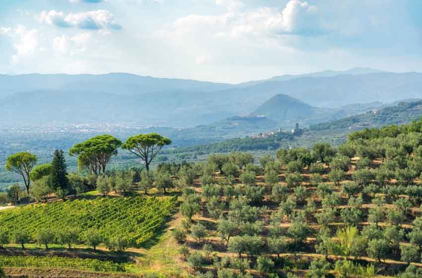 Il paesaggio collinare del Montalbano