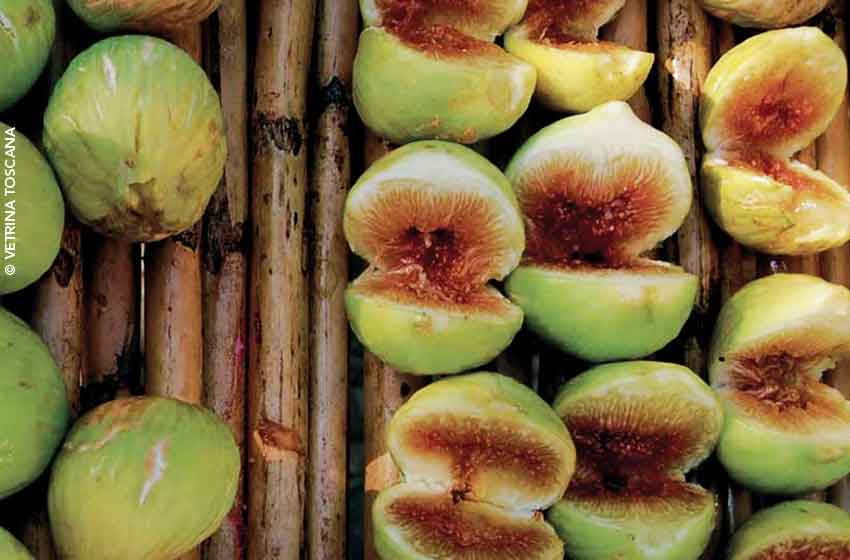 Fichi di Carmignano pronti per l'essiccatura