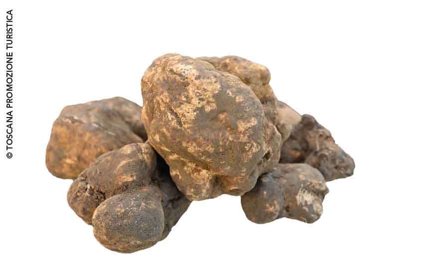 Il tartufo bianco è una delle eccellenze di San Miniato